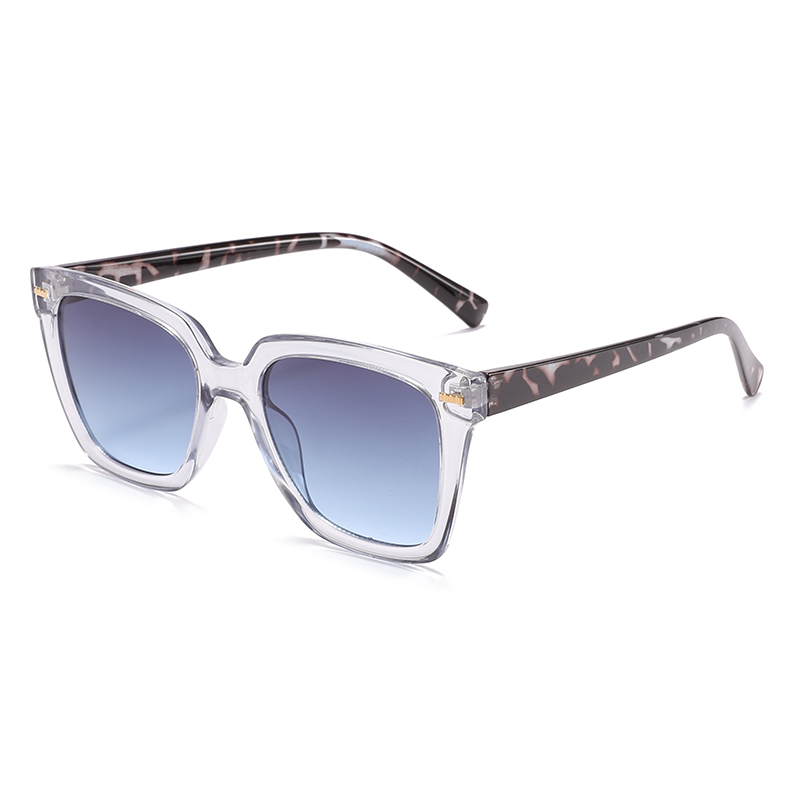 Ladies Revo Plastic  Wayfarer sunglasses