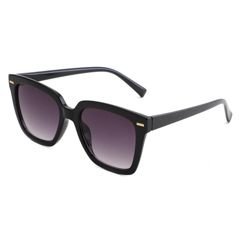 Ladies Revo Plastic  Wayfarer sunglasses